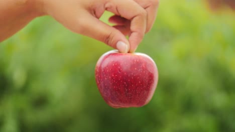 closeup of hand spinning an fresh apple, apple in hand