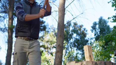 hombre cortando madera con un hacha en un día soleado 4k