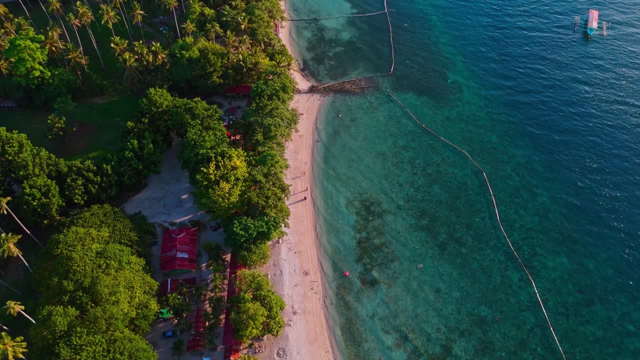 Scenic aerial drone shot of a tropical beach lined with palm trees, golden sand, and turquoise water, symbolizing summer vacation, tourism, lifestyle, and exotic travel