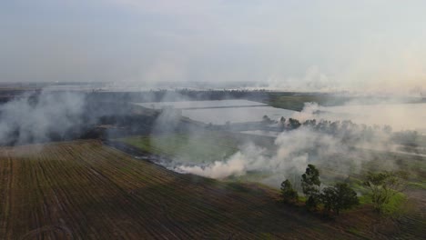 Imágenes-Aéreas-Ascendentes-Que-Revelan-Una-Tierra-De-Cultivo-En-Llamas-Preparada-Para-La-Agricultura-En-Pak-Pli,-Nakhon-Nayok,-Tailandia