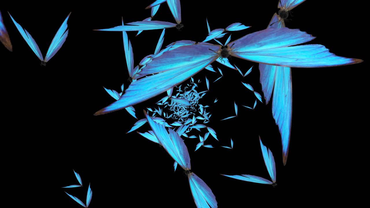 Beautiful butterflies flying around randomly on a green background 3d animation for wedding birthday