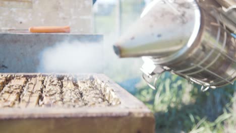 Imker,-Der-Räucherkanister-Verwendet,-Um-Bienen-Auf-Dem-Bienenstockgestell-Zu-Beruhigen