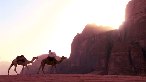 a camel train crosses the saudi desert in wadi rum jordan 2