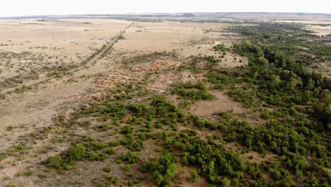 Drone-Sobrevuela-Un-Sendero-De-Una-Sola-Vía-En-Un-Día-Soleado