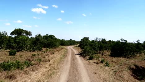 fpv driving on dirt road in oi pejeta national park in kenya, african savanna