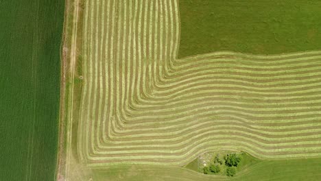 hv river farm top down lift plains