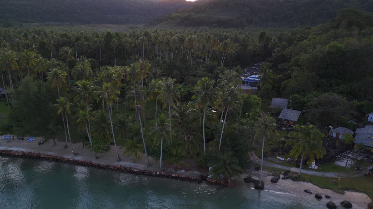 complejo de vacaciones directamente en el bosque de palmeras en la playa