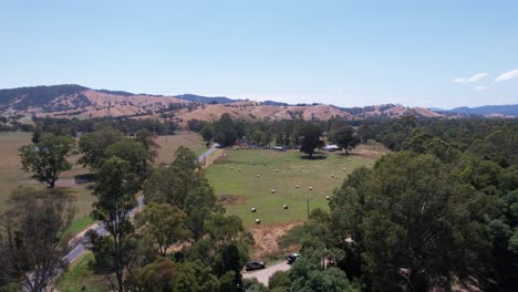 Aerial-through-treetops-to-open-farmland-hay-rolls-and-rolling-hills