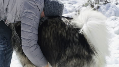 first rule of winter: have a snowball fight