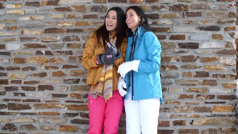 cute twins in winter coats leaning on wall