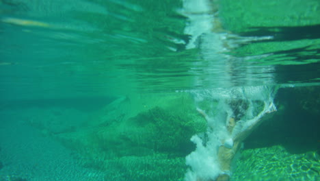 a young woman having fun jumping into a lake