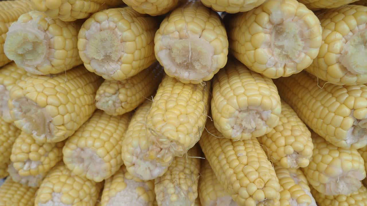 Stack of Corn on the Cob