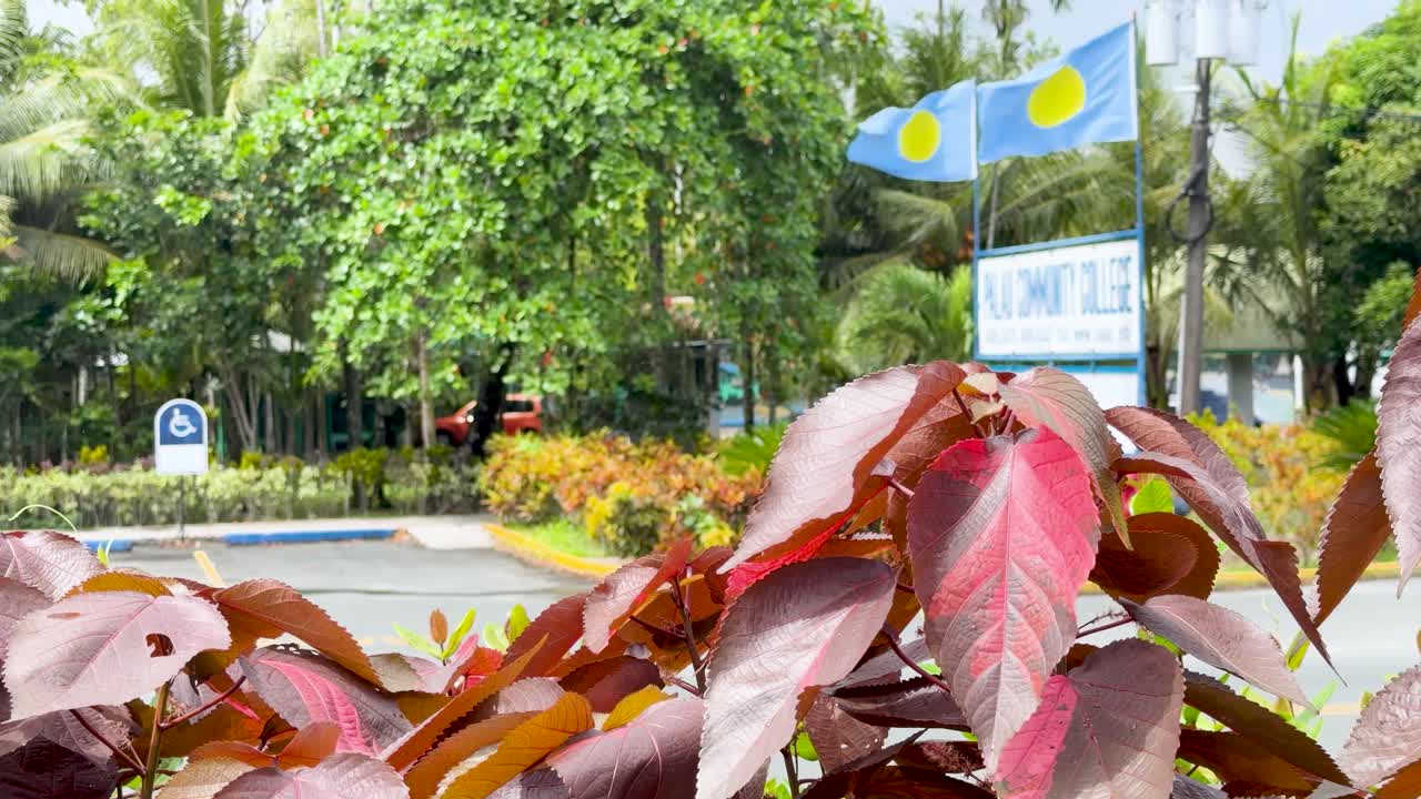 Ripresa statica di bandiere palauane che sventolano sulla vegetazione tropicale all'ingresso di un campus universitario.