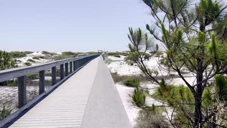 Paseo-Marítimo-A-La-Playa-Con-Pinos-Que-Crecen-En-Las-Dunas-En-Deer-Lake-Beach,-Florida