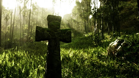 ancient stone cross in a lush forest