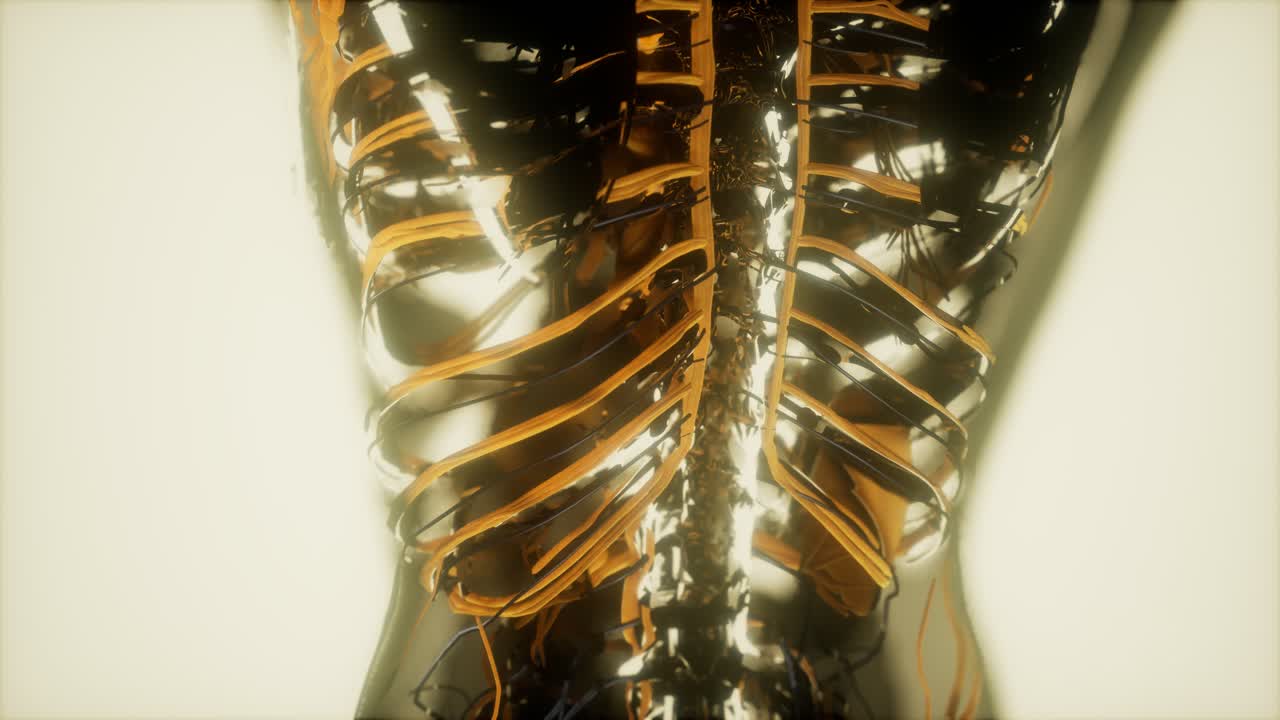 осмотр крови в кровеносных сосудах кровеносной системы