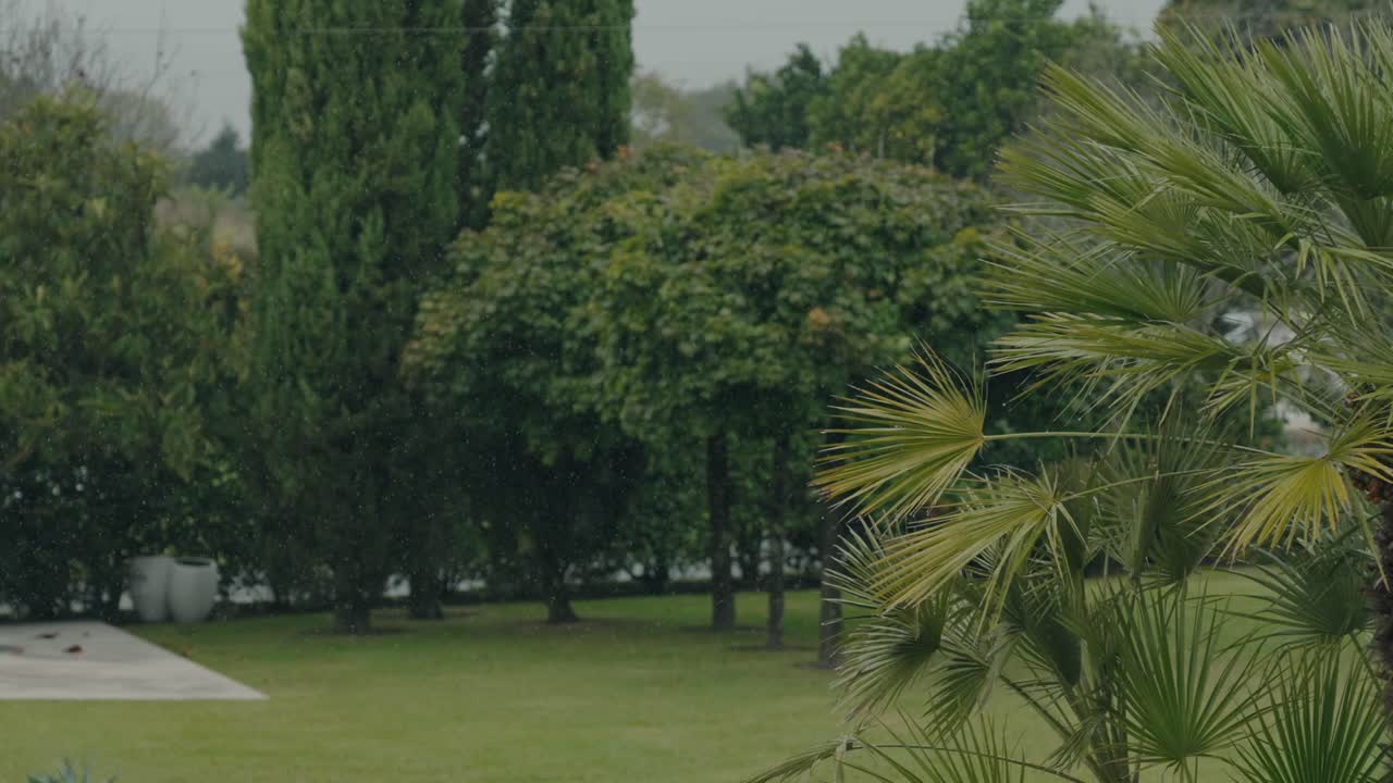 Halaman taman luas dengan pohon palem dan hujan ringan di atas lanskap hijau