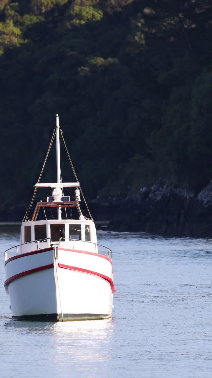 Un barco avanza tranquilamente por un lago en calma rodeado de exuberante vegetación, capturado a plena luz del día.