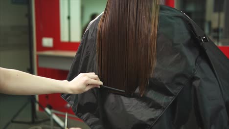 woman getting a haircut in a salon