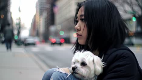 a contemplative moment captured in the city street as a girl holds her small dog close, reflecting on life amidst the busy urban landscape.