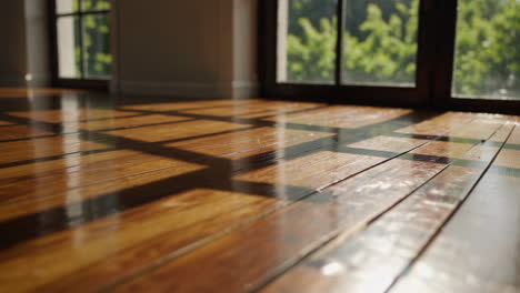 sunlight on polished wooden floor