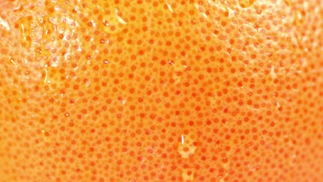 in untreated grapefruit dripping water.