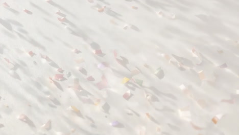 scattered confetti pieces with shadows on white background