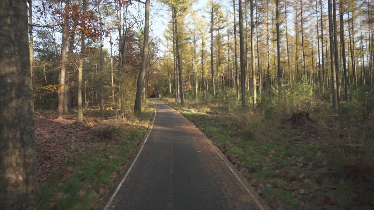 Strada di montagna rurale attraverso una foresta autunnale, avventura in campeggio.