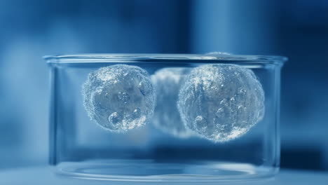 microscopic cells in a laboratory container