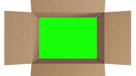 overhead of green screen in brown cardboard box with lid opening on white background