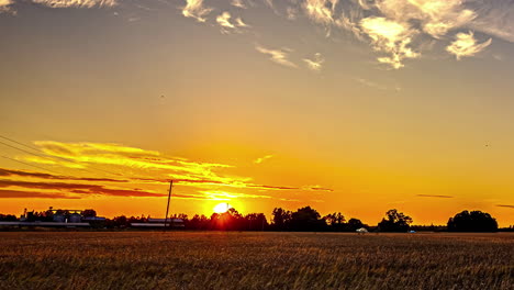 Sun-sets-with-brilliant-rays-into-pink-red-sky-above-wheat-field,-plane-tracks-in-sky