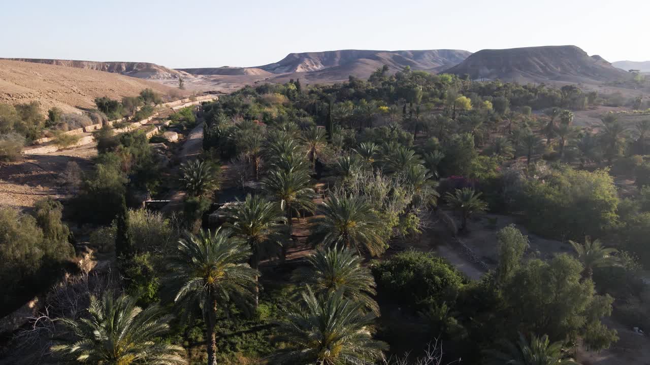 Aerial Shot Neot Smadar Art Center Complex with Green Palm Trees and Desert Hills in Background, Daytime Israel