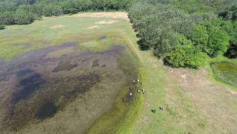 aerial footage of forest, pond and a small group of refugees