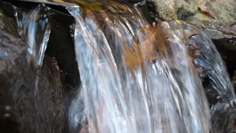 Cascada-Fluye-Sobre-Hojas-Marrones-En-Un-Bosque-Austriaco