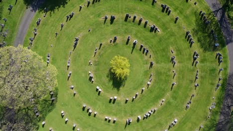 Un-Alma-Que-Va-Al-Cielo-Sobre-Un-Cementerio-|-Edimburgo,-Escocia-|-Filmado-En-4k-A-30-Fps