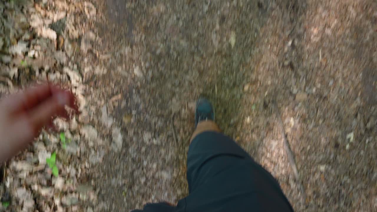 punto de vista de un hombre caminando por un sendero del bosque, cámara lenta