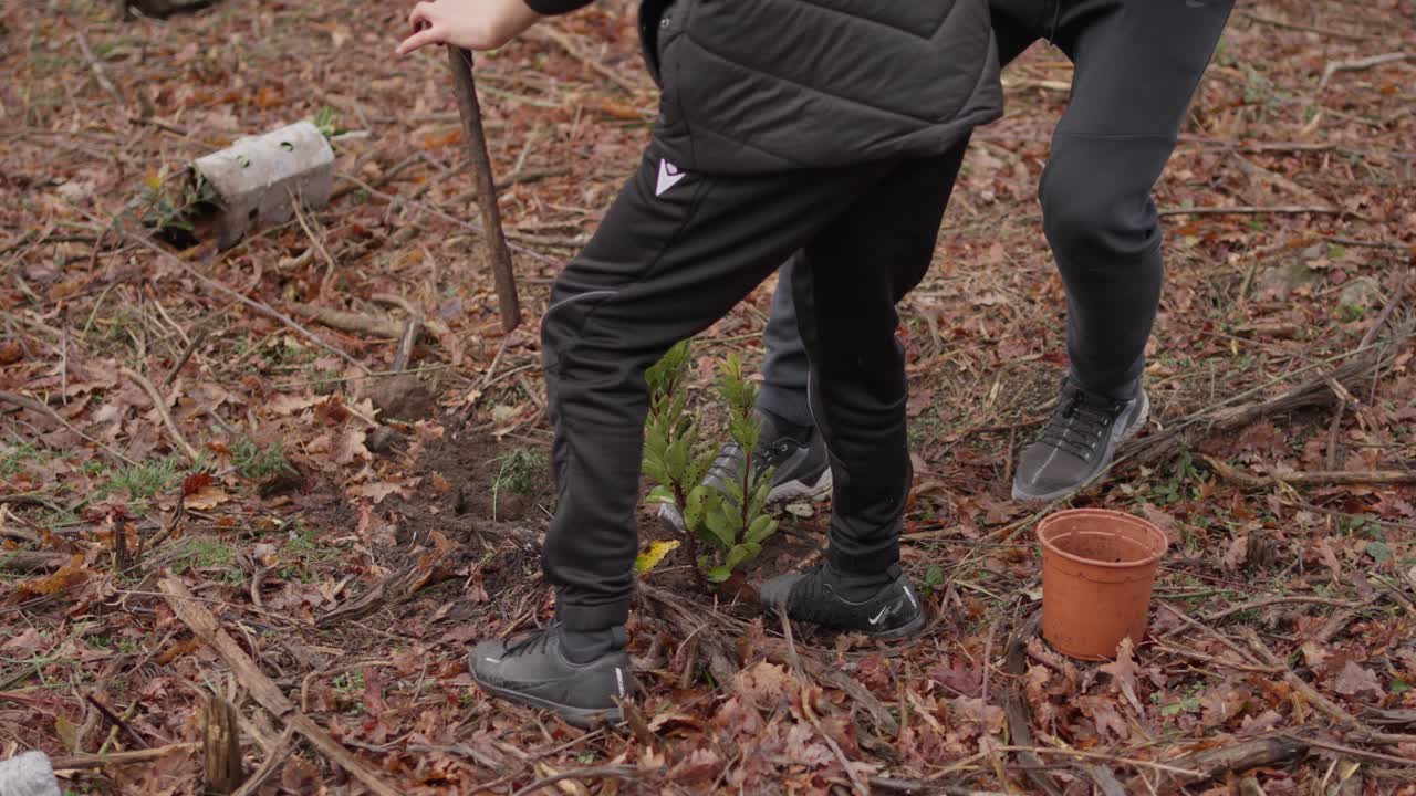 Mani e scarponi che piantano un piccolo pino nel suolo della foresta