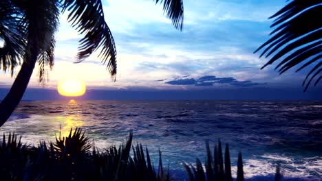 branches of palm trees and tropical plants in the wind on the background of a beautiful sunset. beautiful summer loop background.