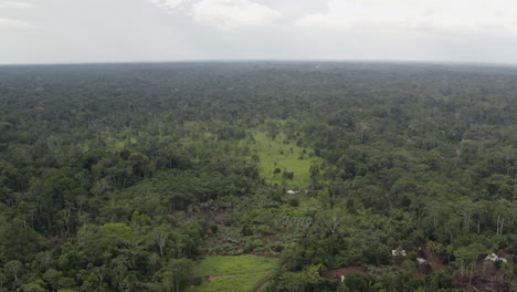 aerial view of the ecuadorian amazon.