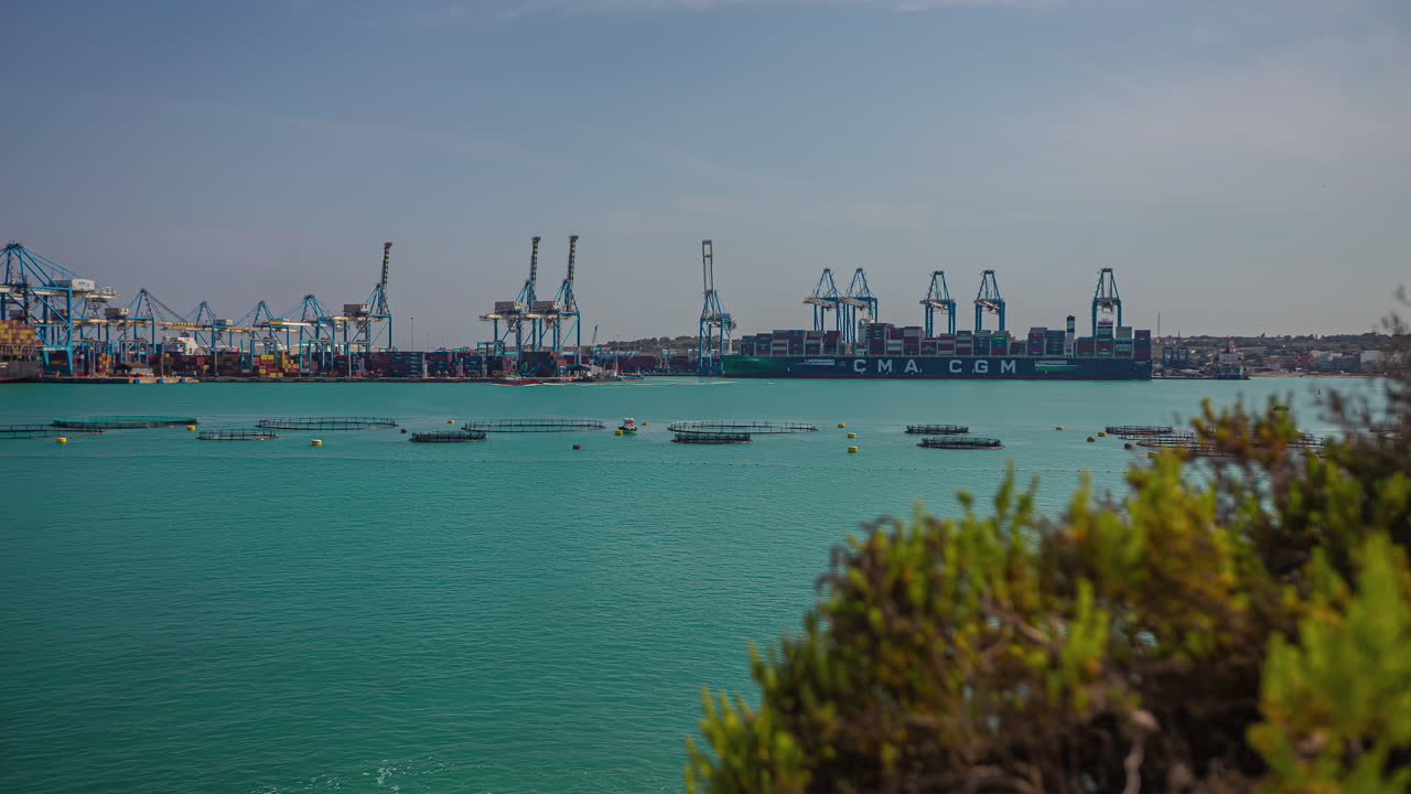 grúas que descargan contenedores marítimos de los buques en el puerto libre de malta