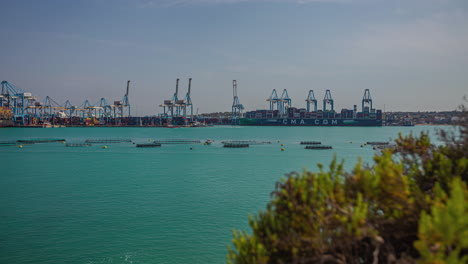 grúas que descargan contenedores marítimos de los buques en el puerto libre de malta