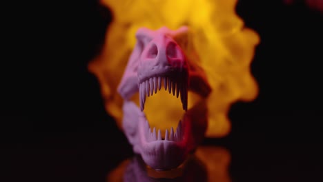 in a dark room an orange flame descends and briefly engulfs a small replica tyrannosaurus skull