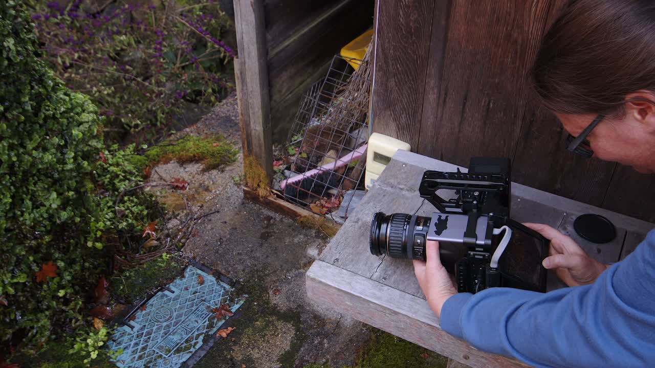 大型の映画用カメラを持った写真家が、水滴が滴る木の葉のクローズアップを撮影している。