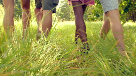 the legs of four friends walking together in the countryside