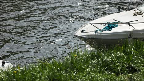 boat on the water near the shore with green grass