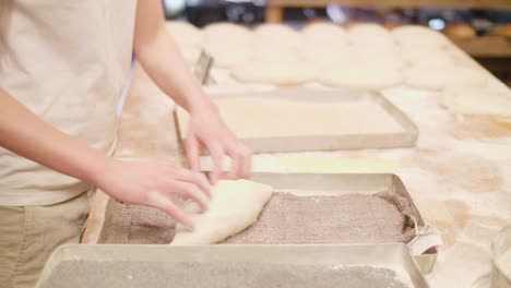 Bakery dough rolled in poppy seeds