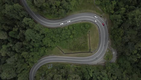 straight down aerial: highway in tropical forest loops around coulee