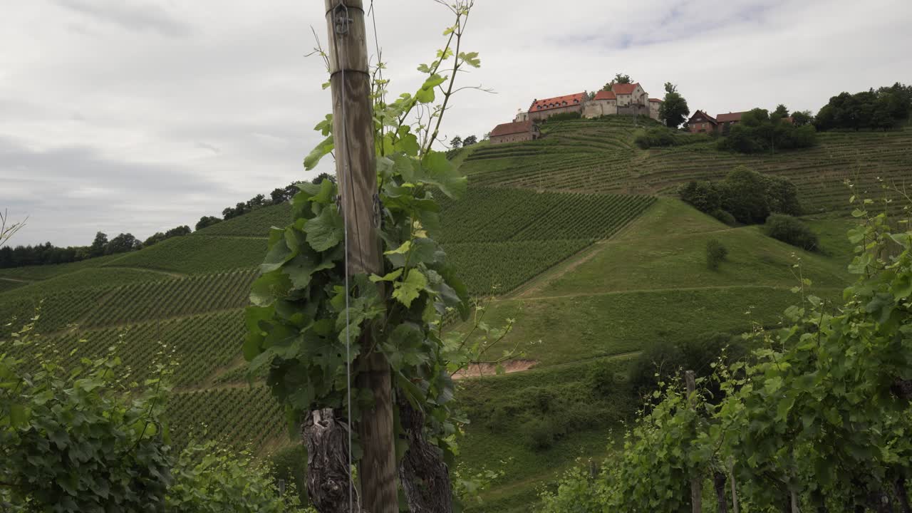 Castello sulla cima di una collina verde circondato da vigneti e terrazzamenti in una giornata nuvolosa, Strada del Vino di Durbach, Germania.