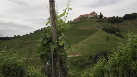 Chateau-on-top-of-a-green-hill-surrounded-by-vineyard-and-terraces-on-an-overcast-day,-Durbach-Wine-Route,-Germany