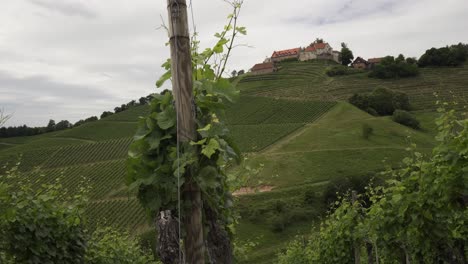 castillo en la cima de una colina verde rodeada de viñedos y terrazas en un día nublado, ruta del vino de durbach, alemania